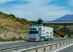 Transportation Services